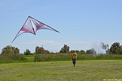 Venice kite festival_0080